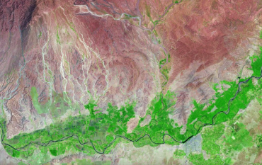 Satellite image of plant growth