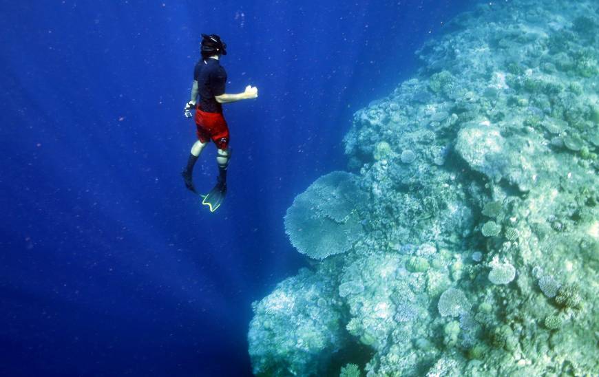 Student scuba diver next to coral