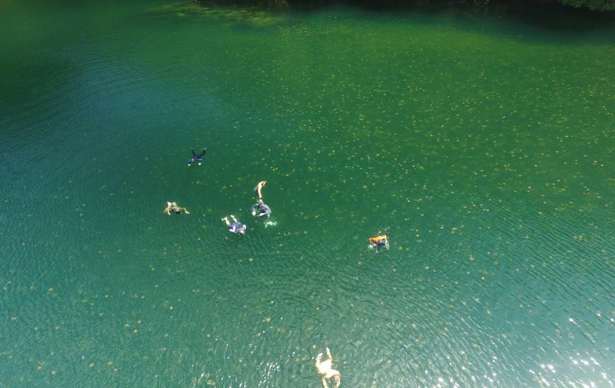 Students snorkeling in lake